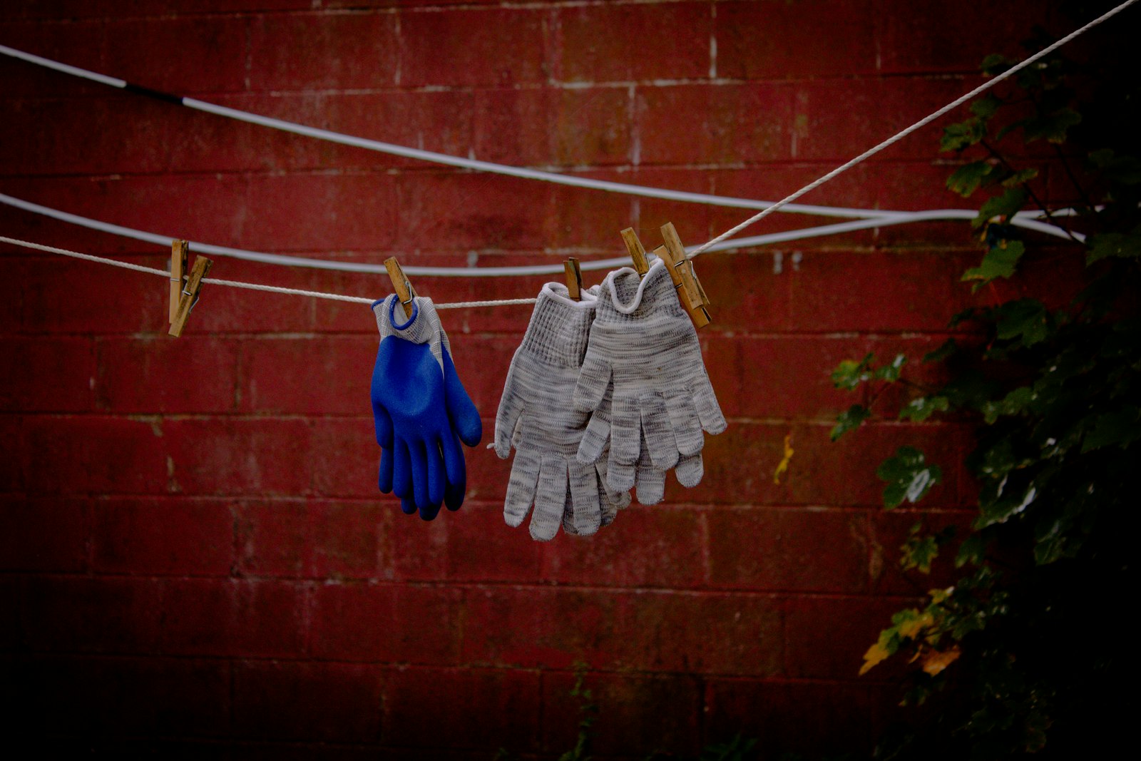 Work gloves drying on a washing line